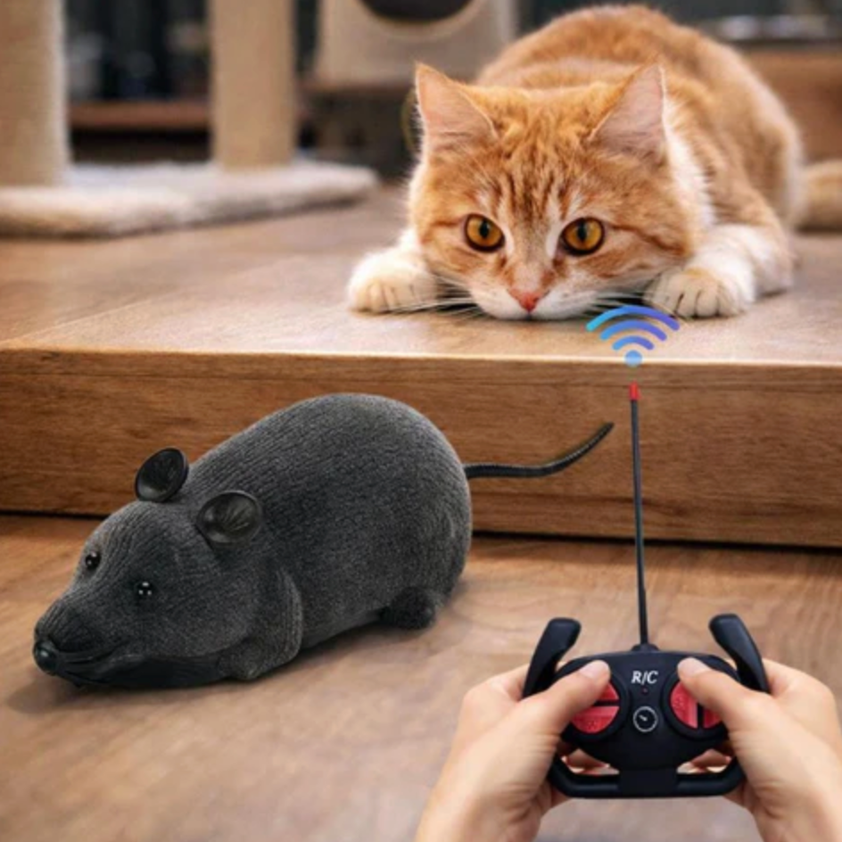 PlayMouse