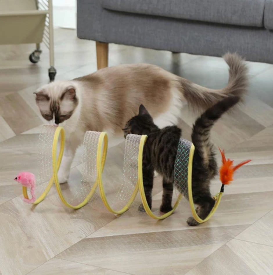CatTunnel Toy