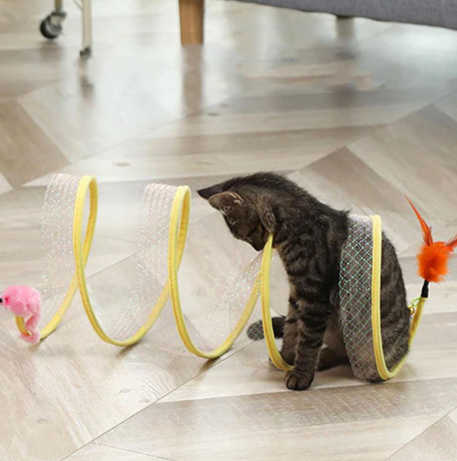 CatTunnel Toy