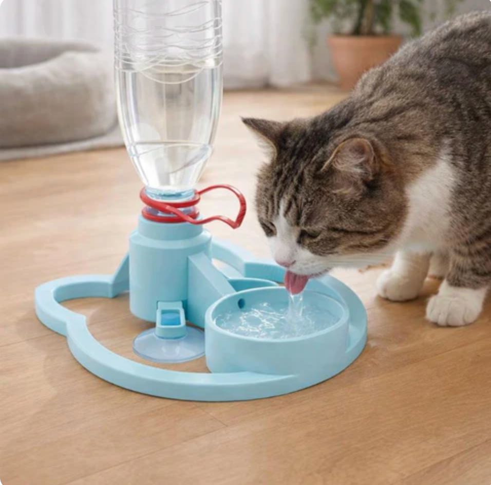 HydraPaw No-Spill Water Station