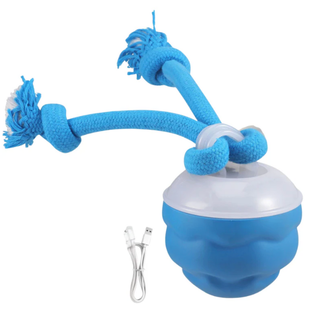 PlayPaw Motion Ball