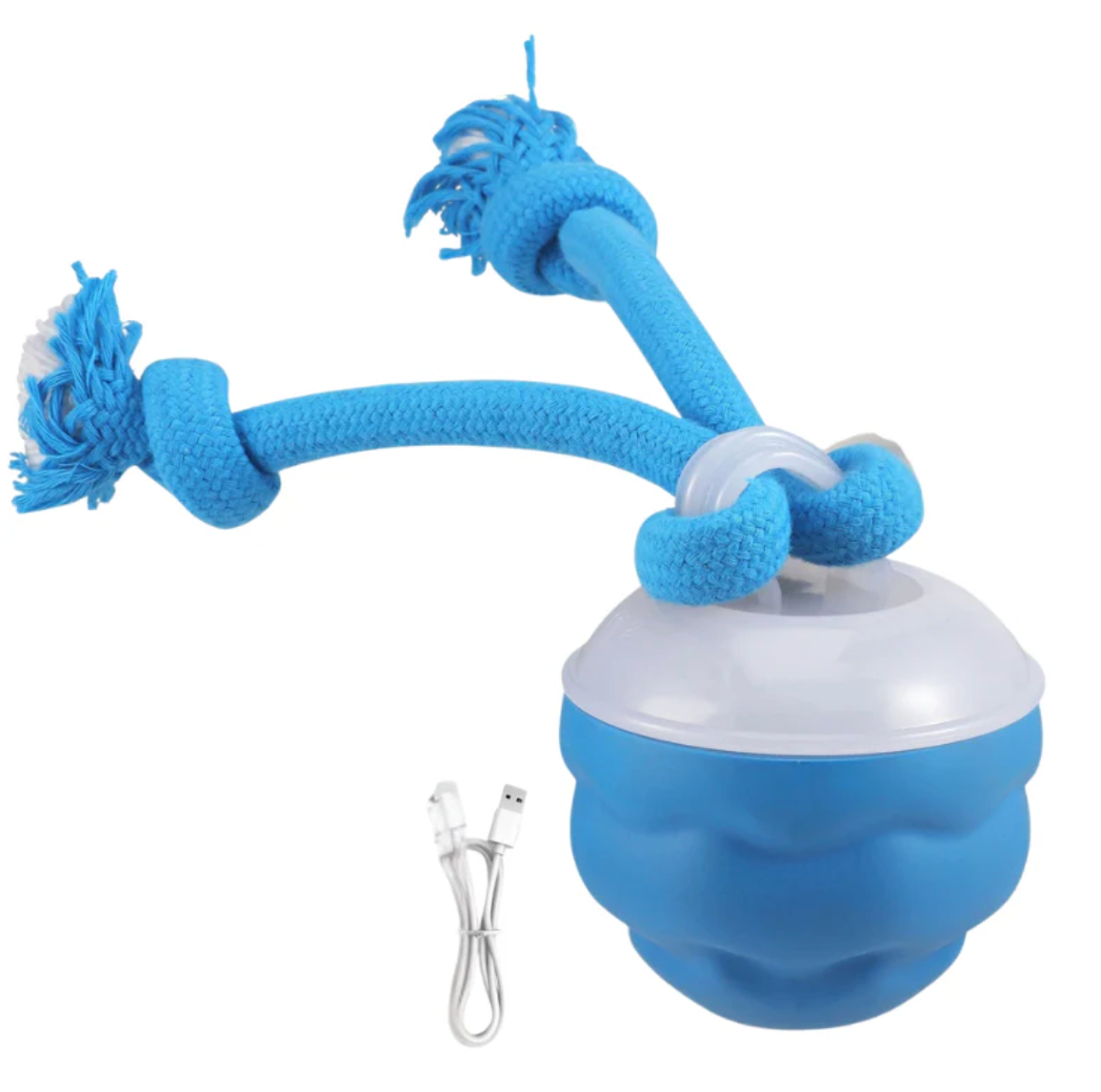 PlayPaw Motion Ball