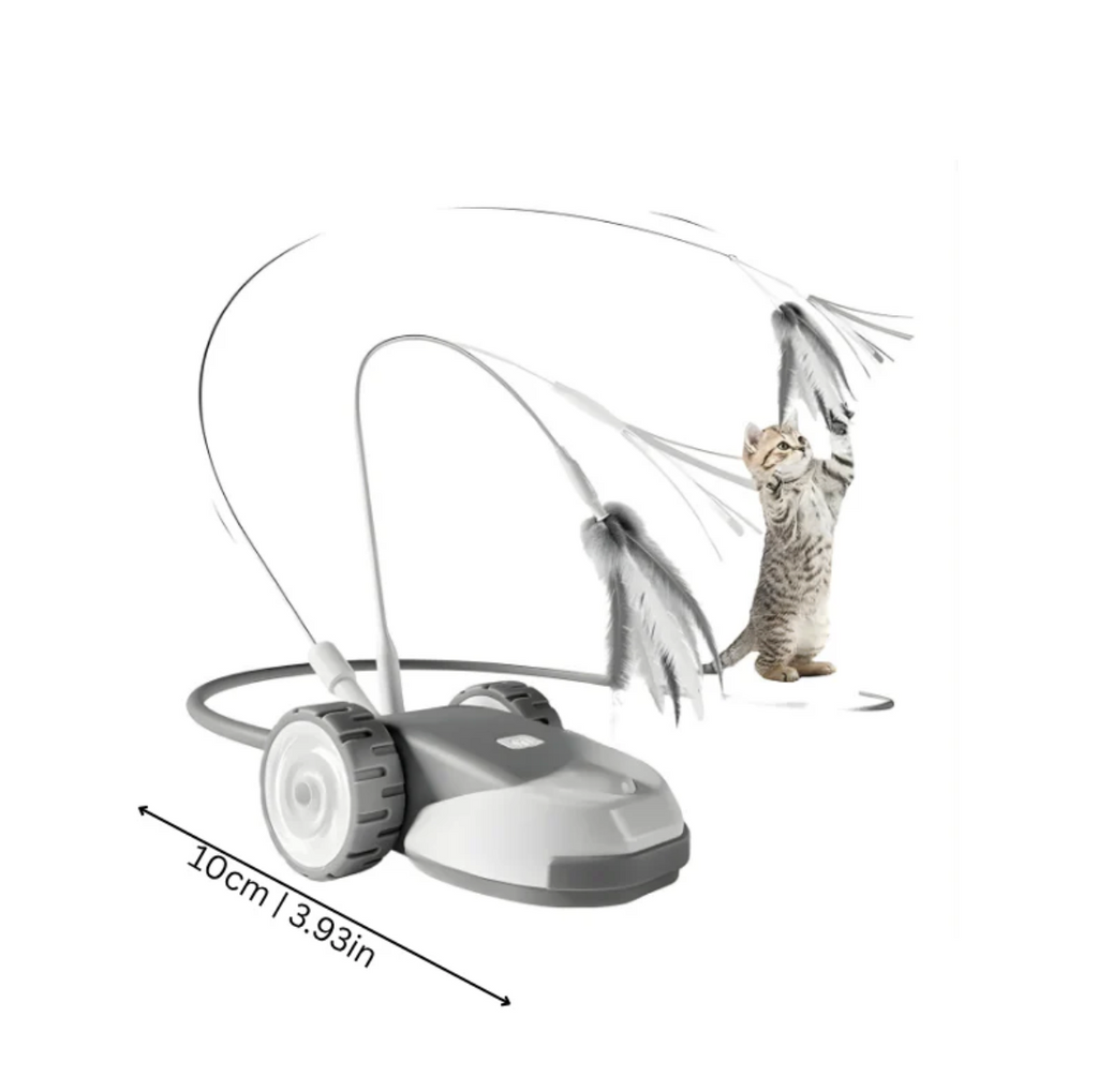 ChaseWhisker Interactive Cat Toy