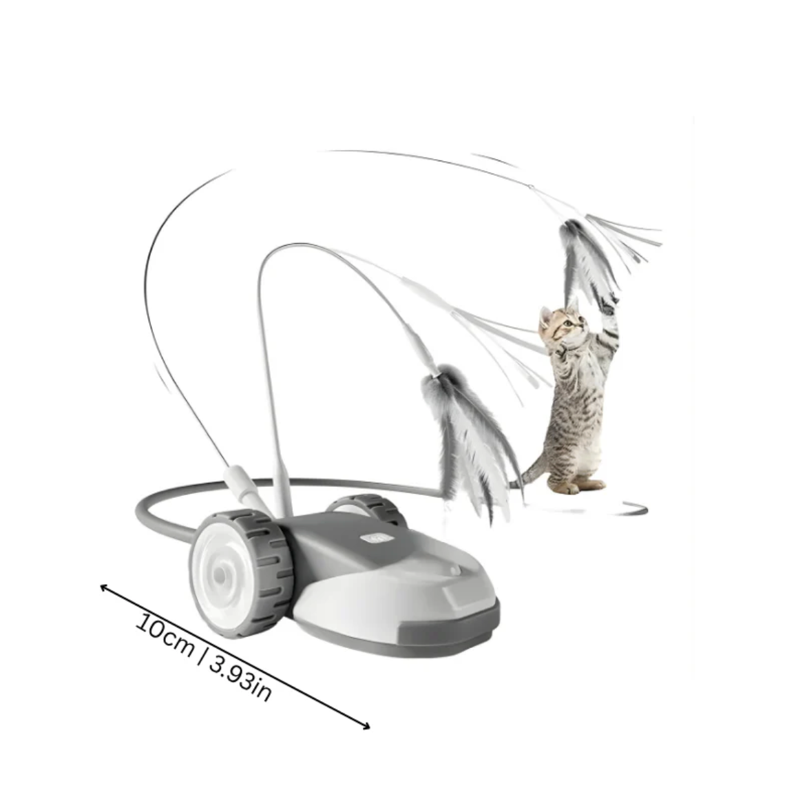 ChaseWhisker Interactive Cat Toy