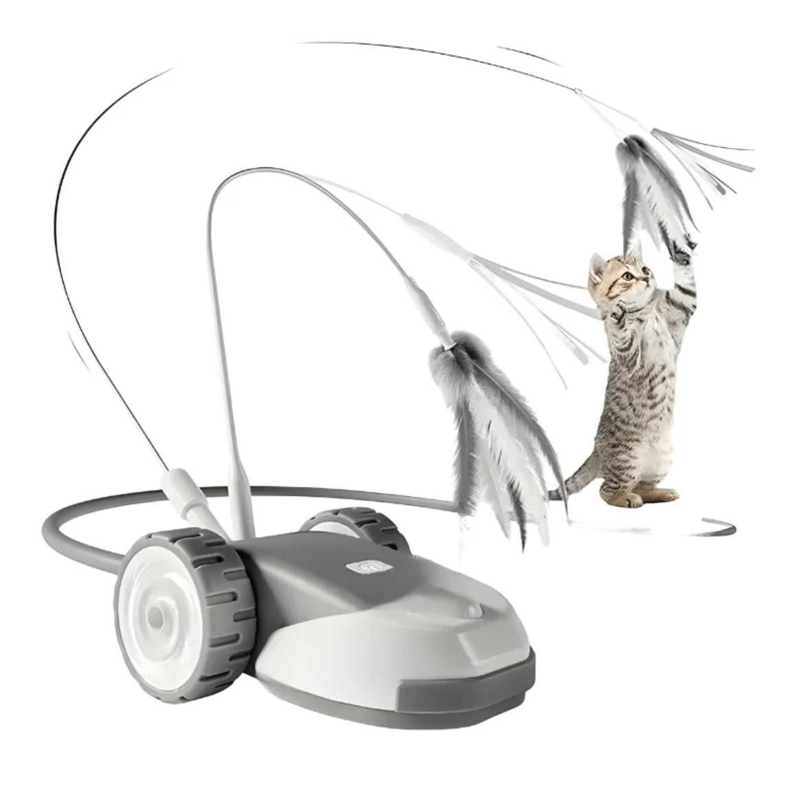 ChaseWhisker Interactive Cat Toy