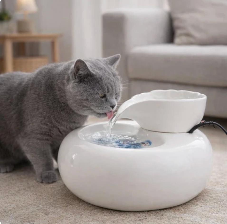 AquaFlow Pet Fountain