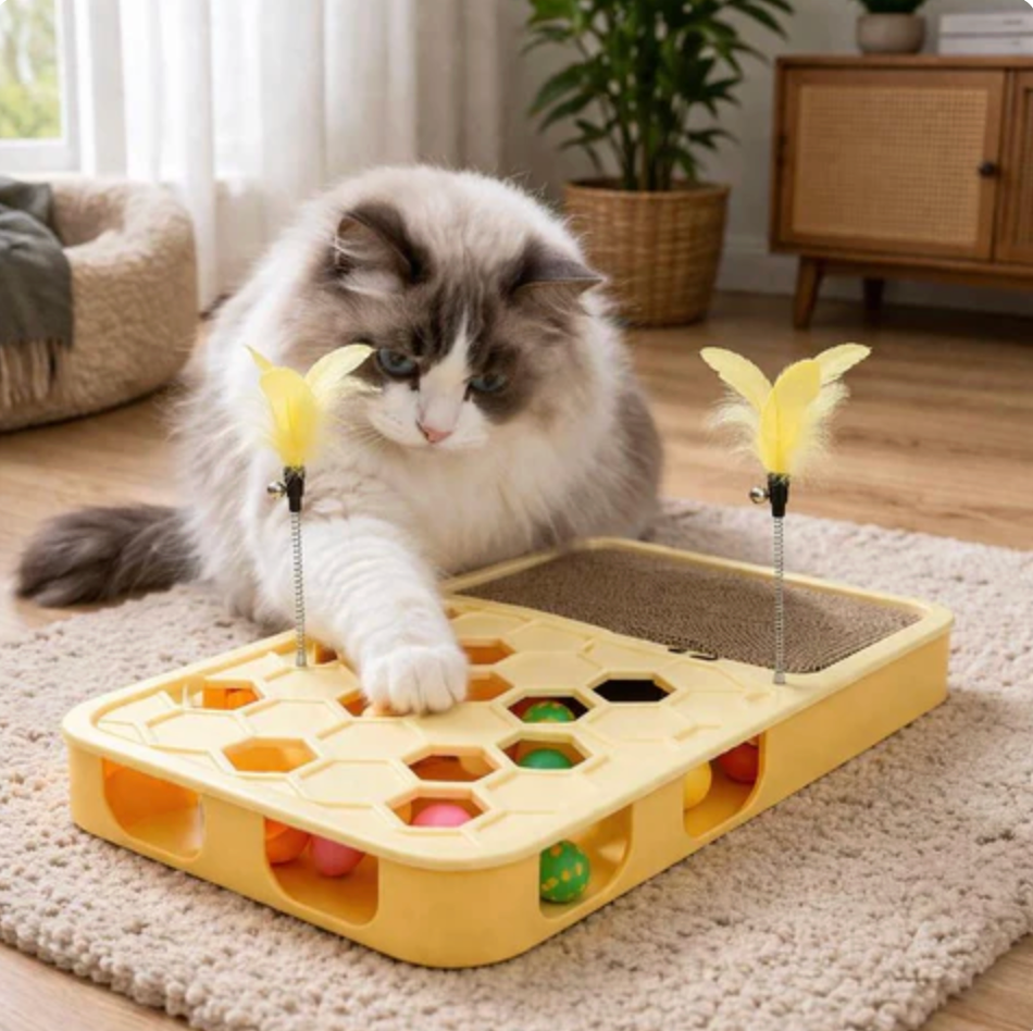 MindMaze Treat Board