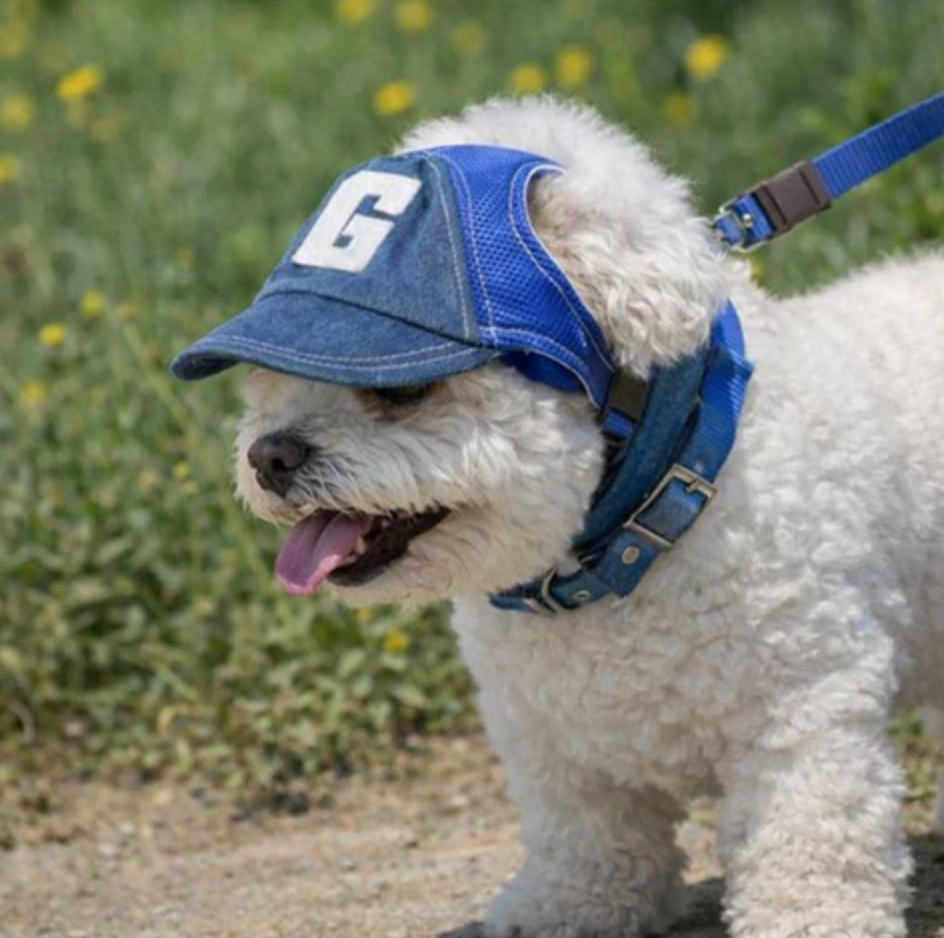 SunnyPup Dog Cap