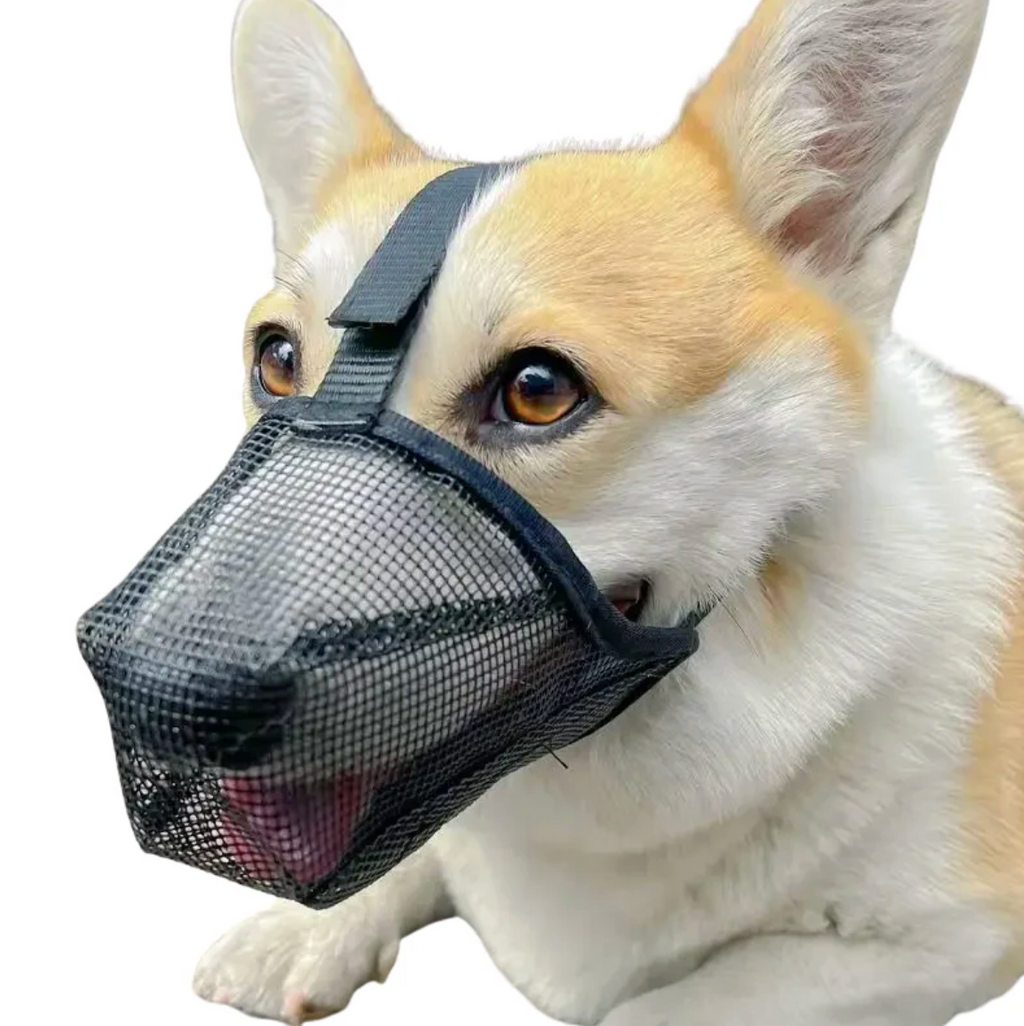 GoldenGuard Dog Mesh Muzzle