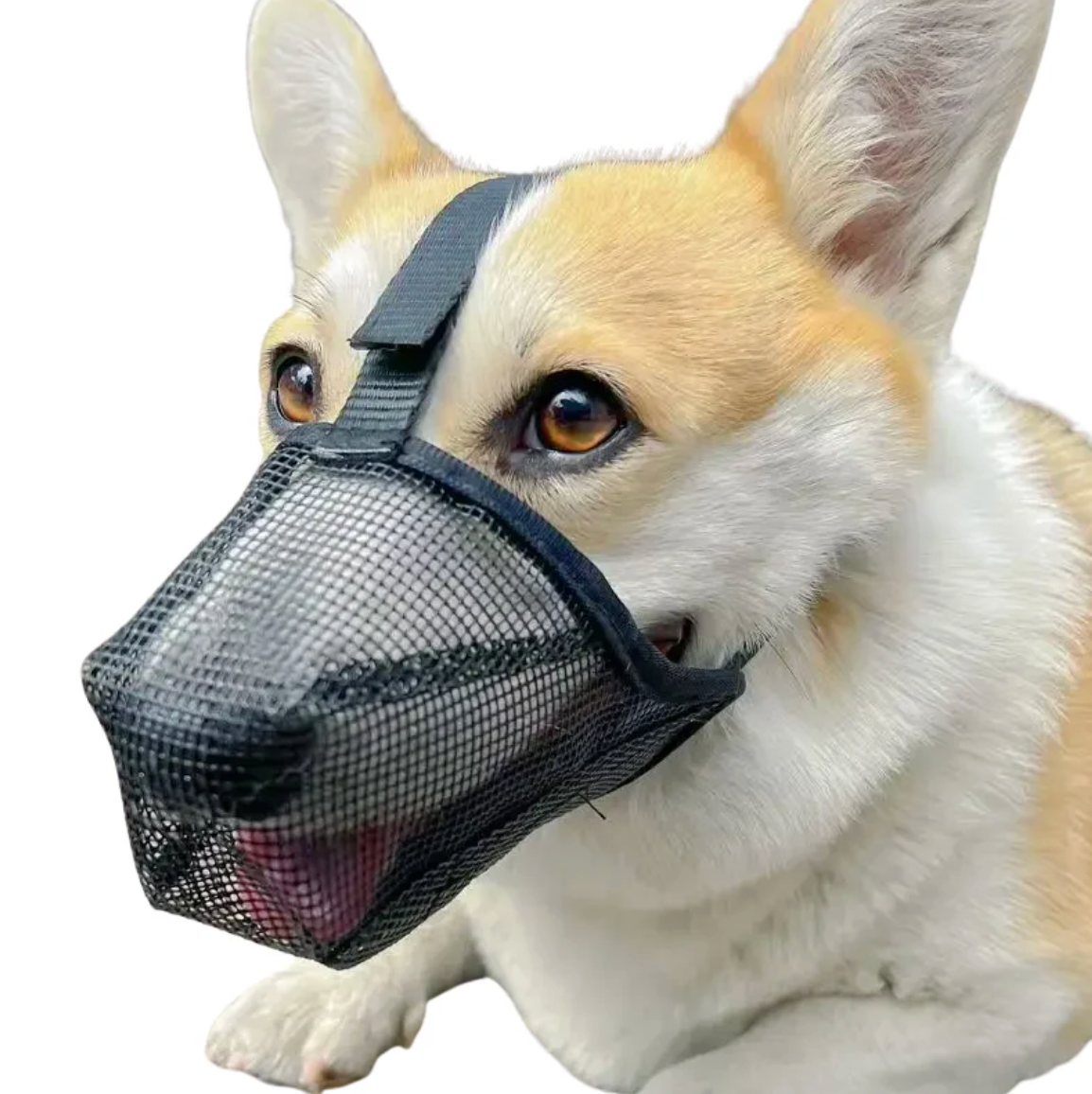 GoldenGuard Dog Mesh Muzzle
