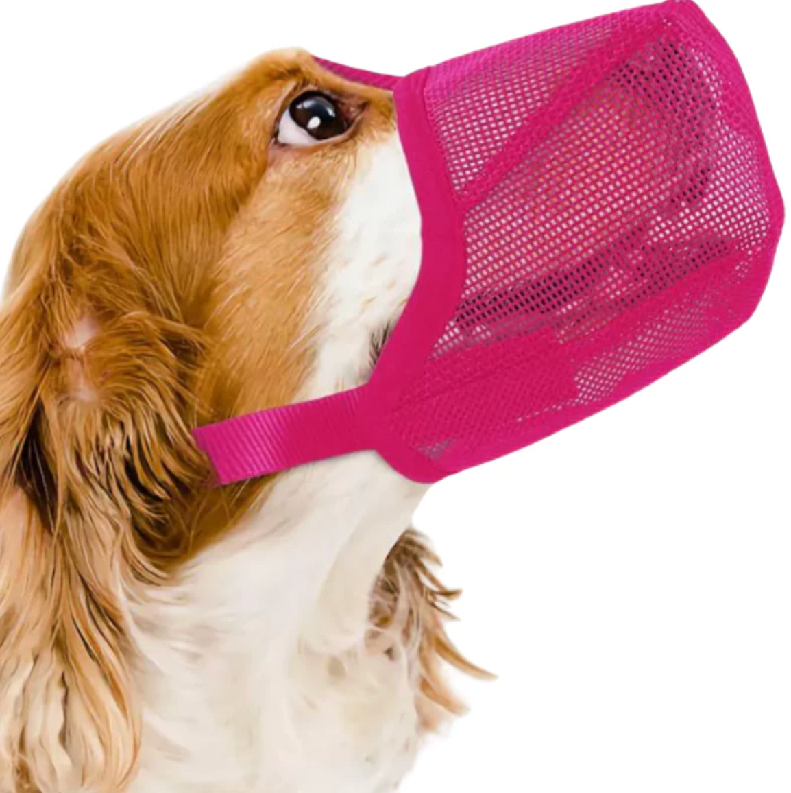 GoldenGuard Dog Mesh Muzzle