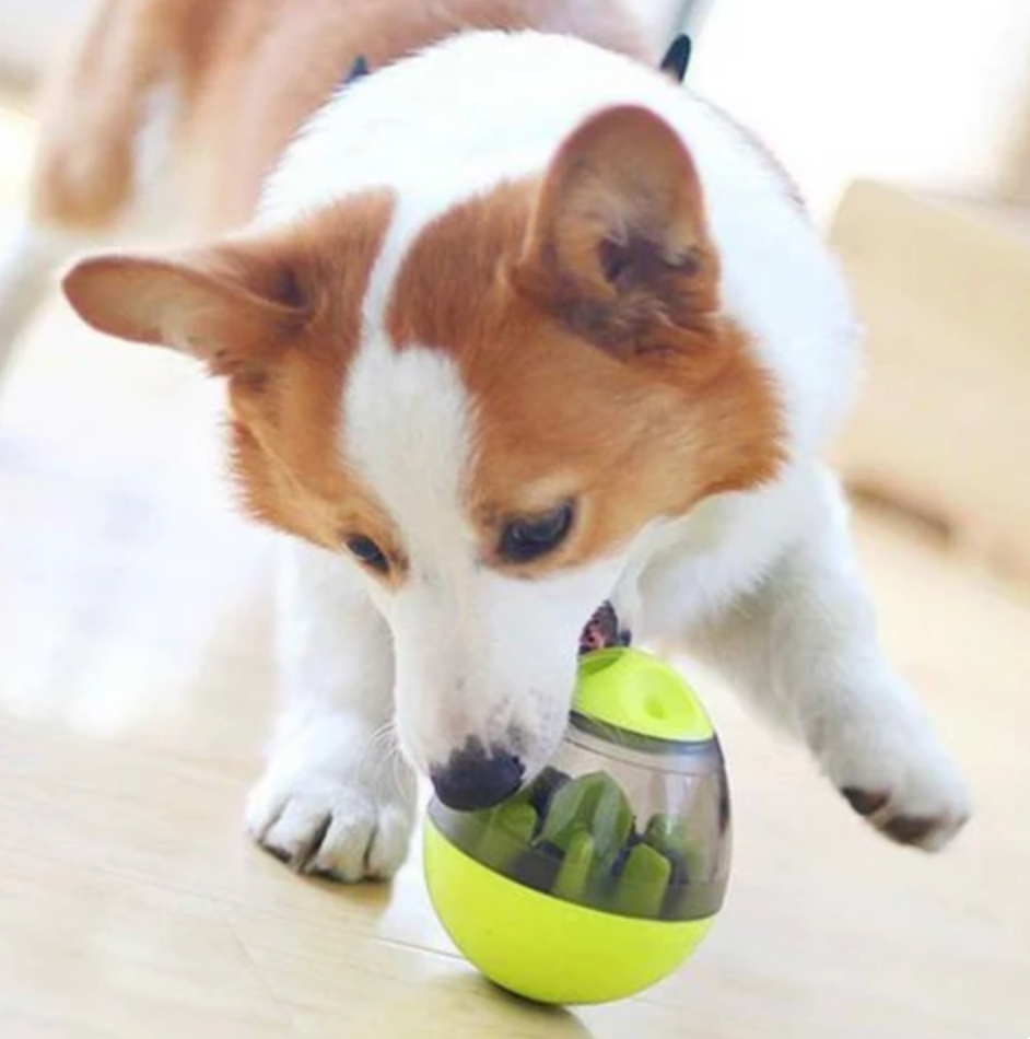 SmartTreat Ball