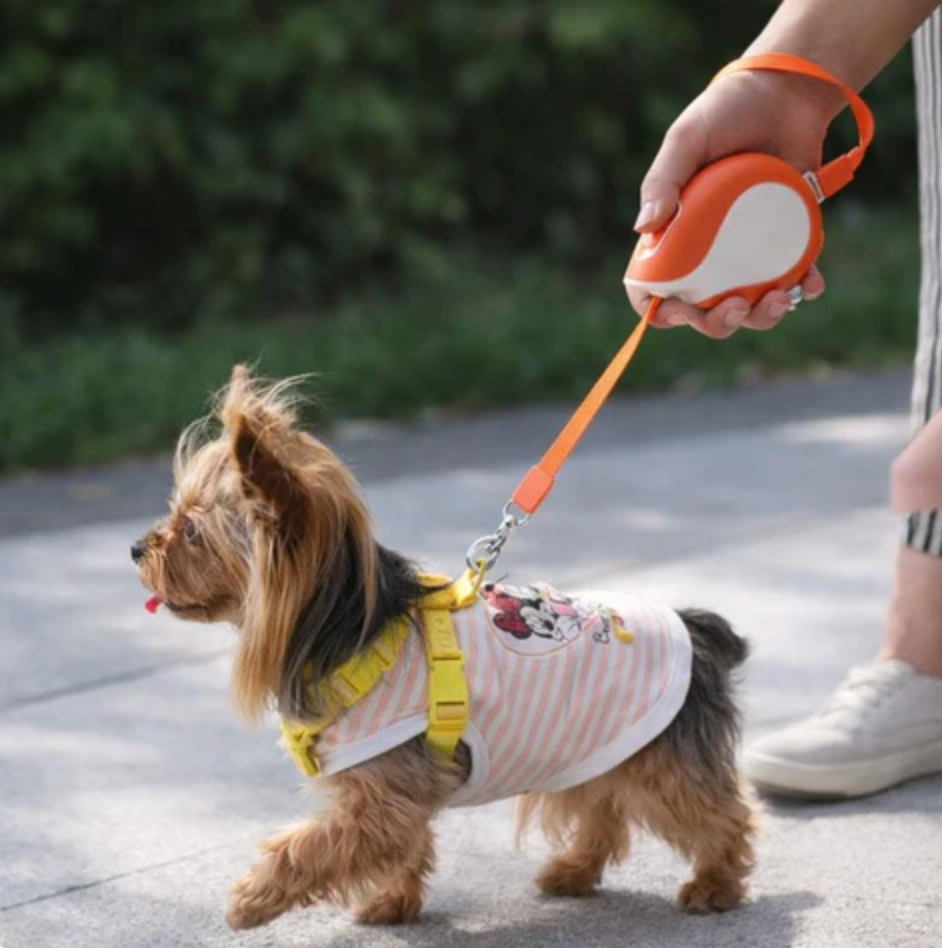 FlexLeash