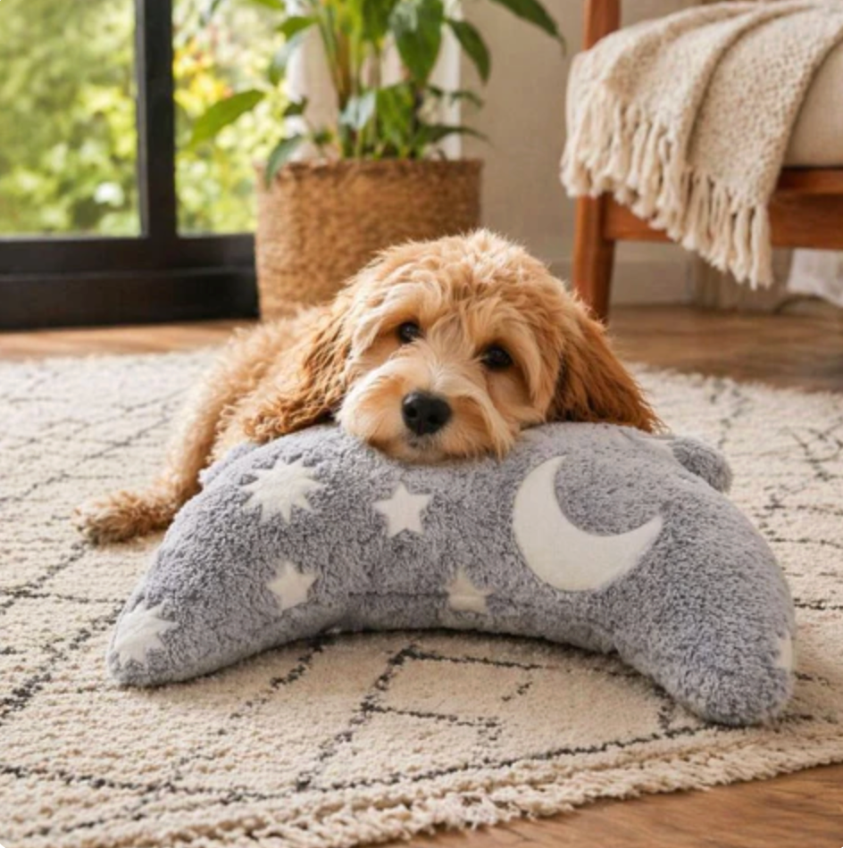 CozyNest Pillow