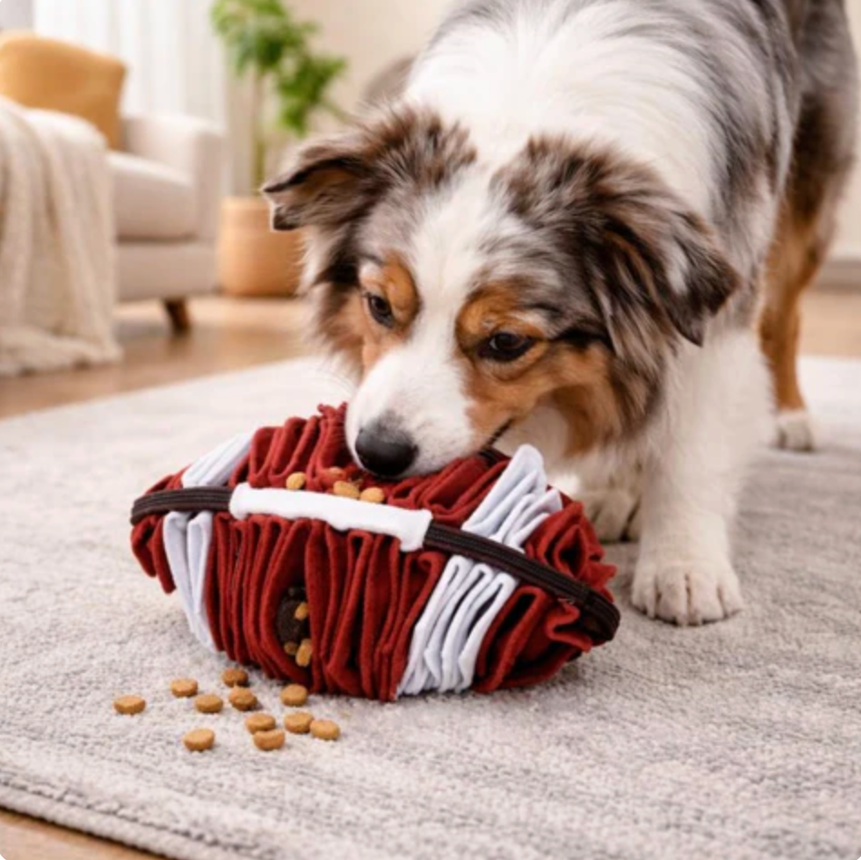 SniffPlay Ball