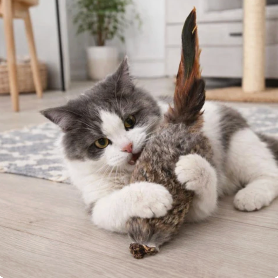 PounceFur Toy
