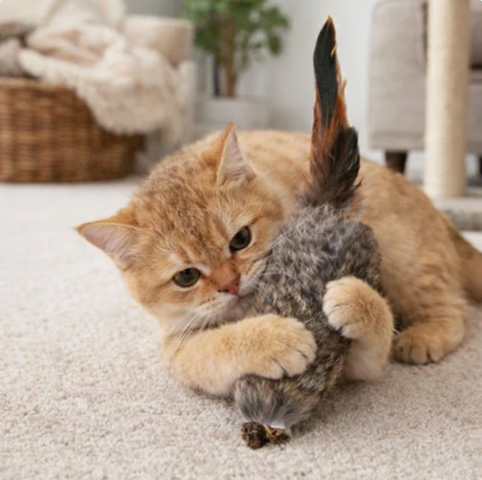 PounceFur Toy