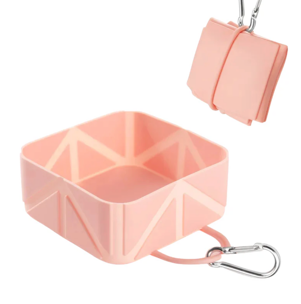 PawFold Bowl