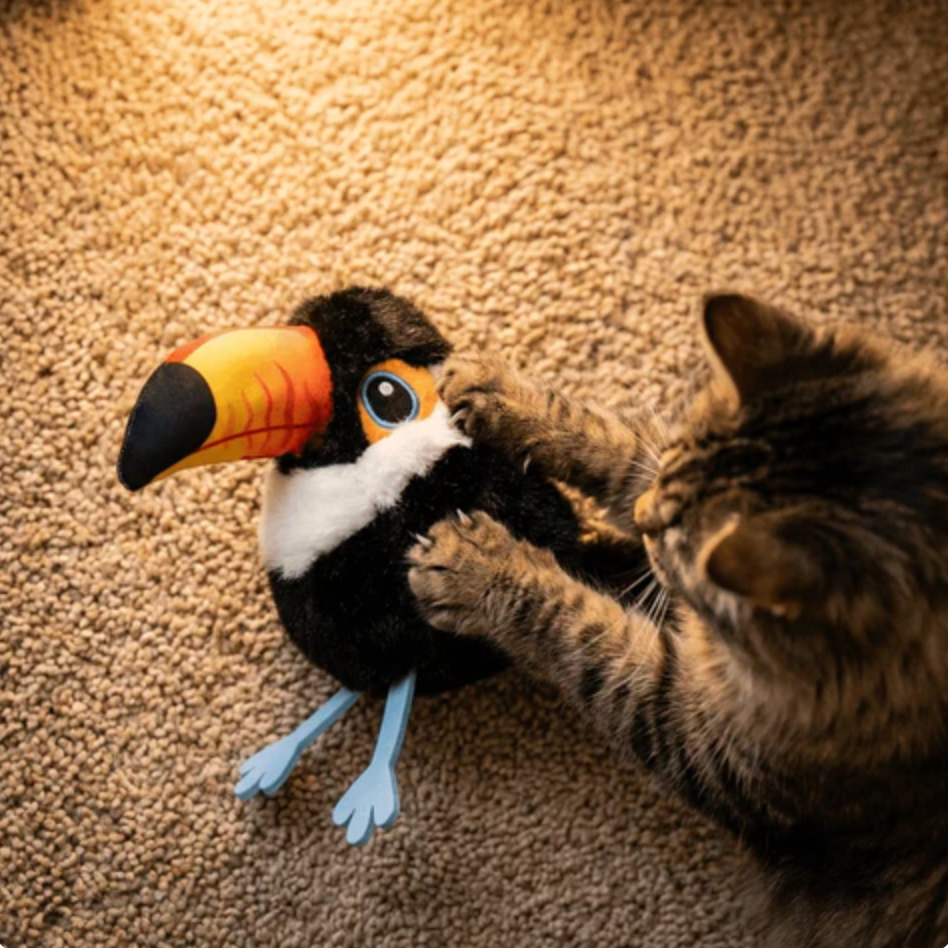 FeatherPounce Cat Toy