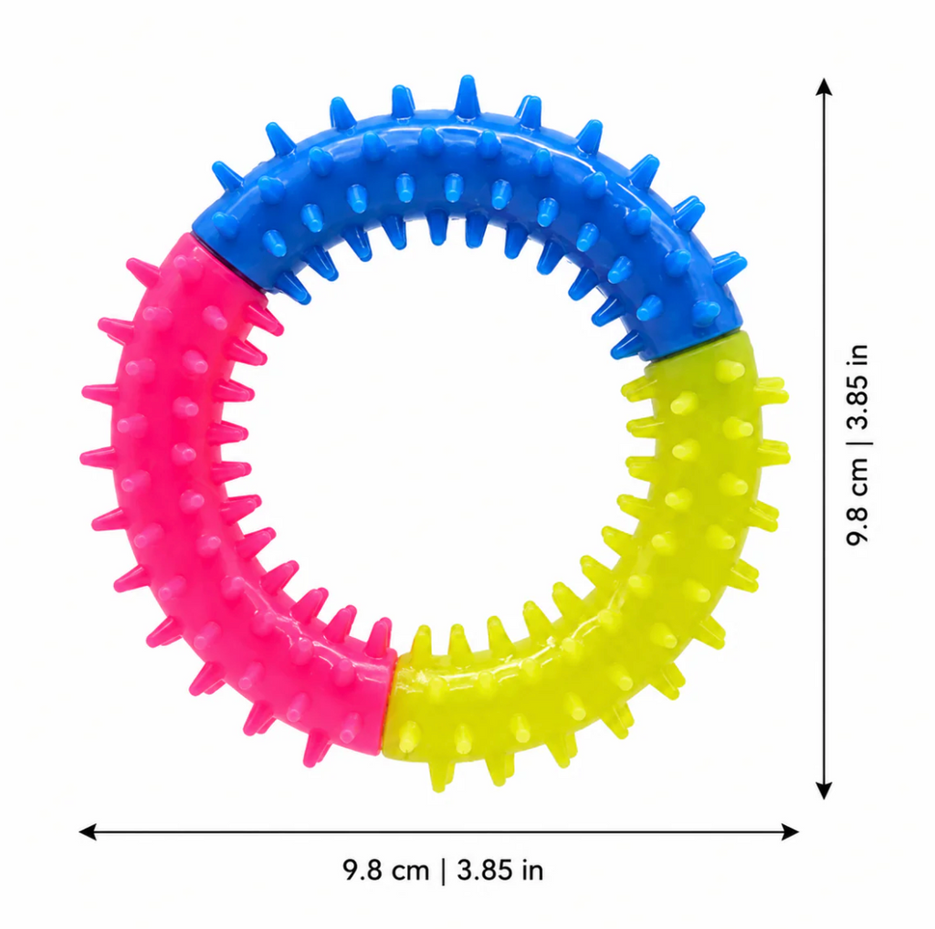 DentalLoop