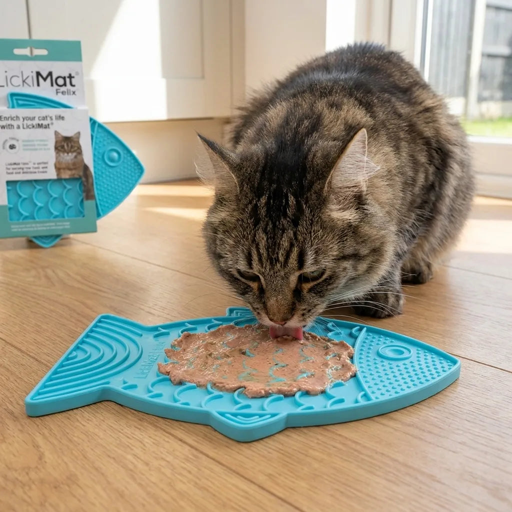 Cat Slow Feeder / Cat Licking Mat