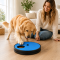 Interactive Slow Feeder