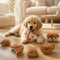 Plush Squeaky Dog Toy Set