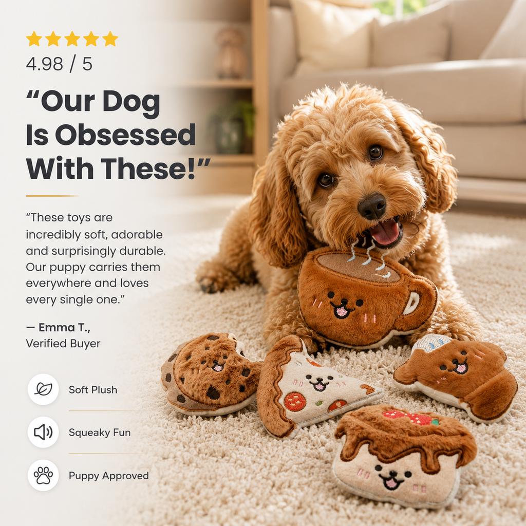 Plush Squeaky Dog Toy Set