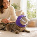 SafePaws