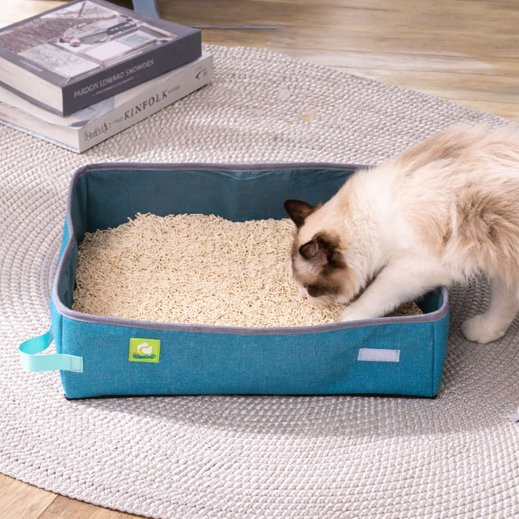 FoldiLoo Box