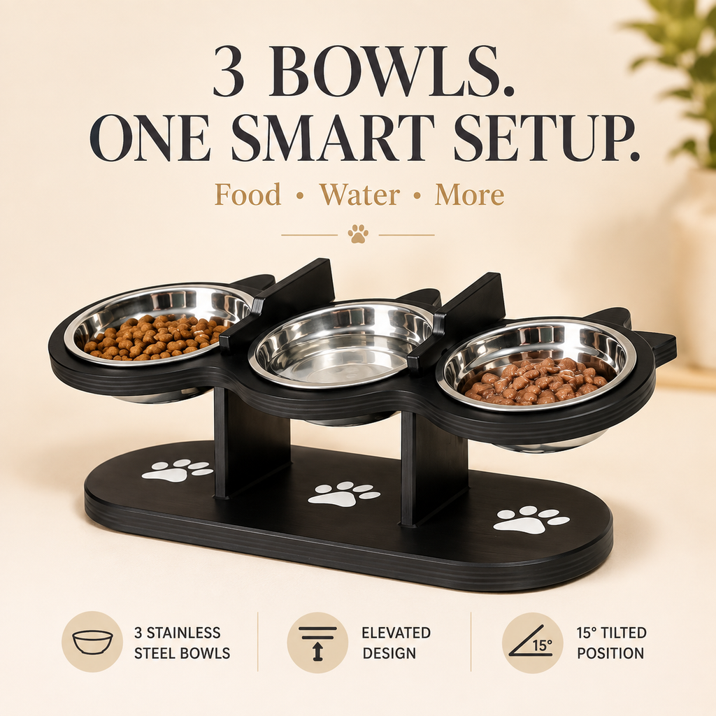 Adjustable 15° Tilted Pet Bowl