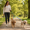 Dual-Flex Tandem Leash