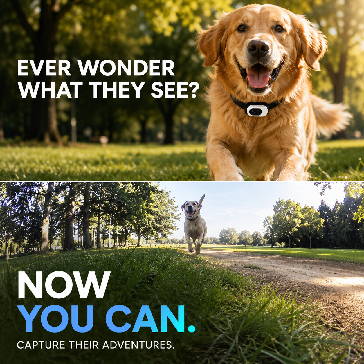 PawView HD Pet Collar Action Camera