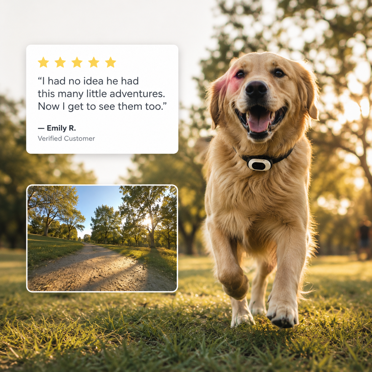 PawView HD Pet Collar Action Camera
