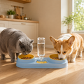 Automatic Pet Feeding & Water Bowl Set