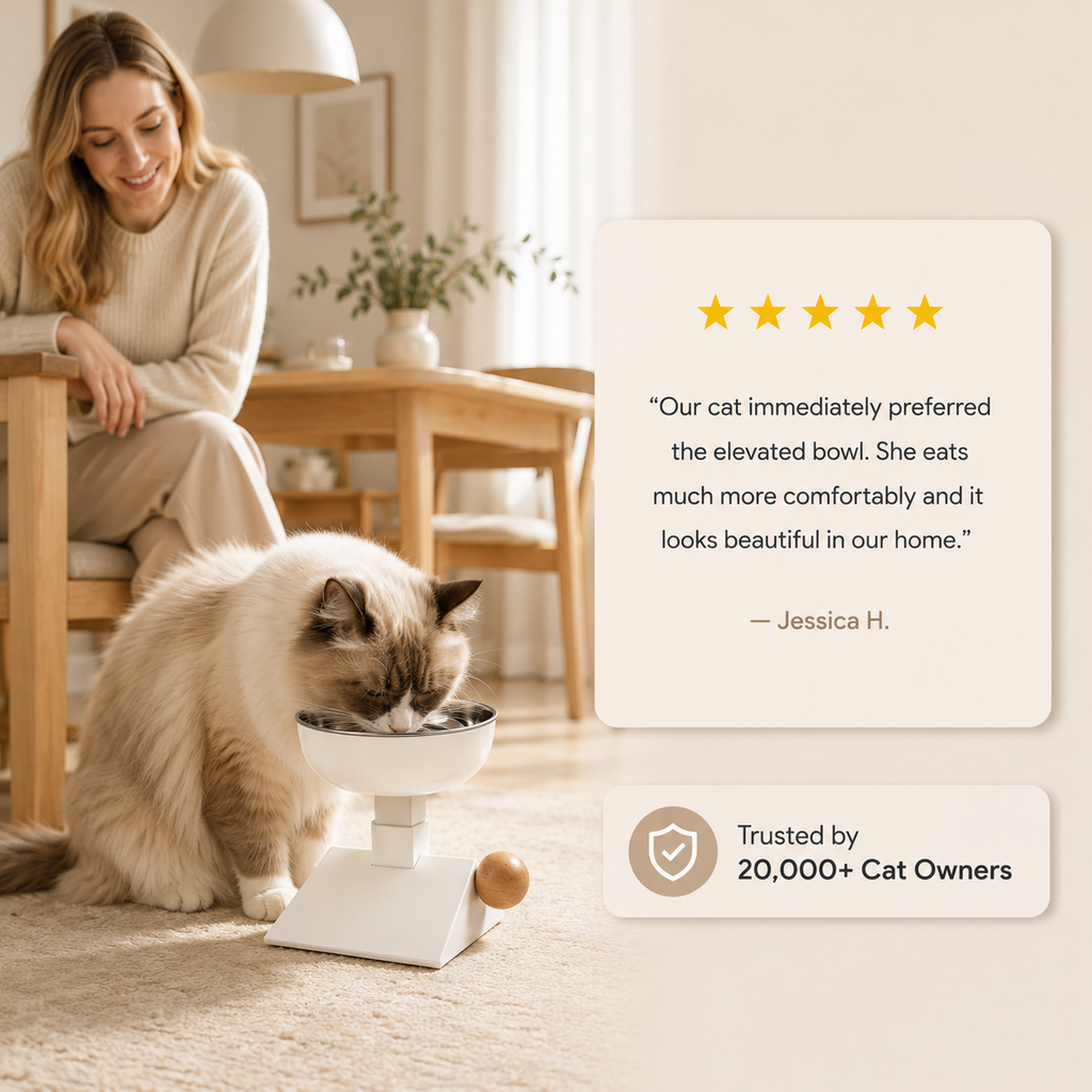 Adjustable Elevated Cat Bowl