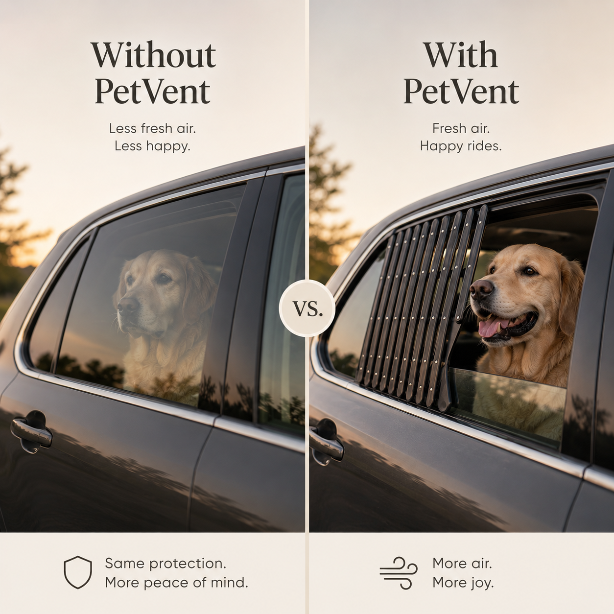Car Window Pet Guard