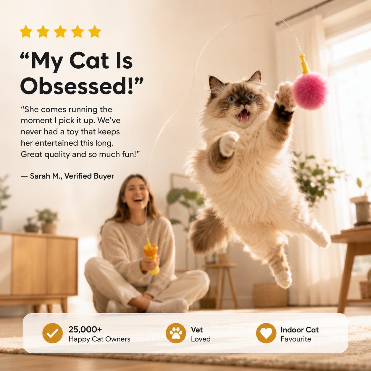Electric Cat Ball Launcher