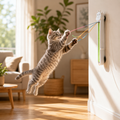 Wall Mounted Interactive Cat Toy