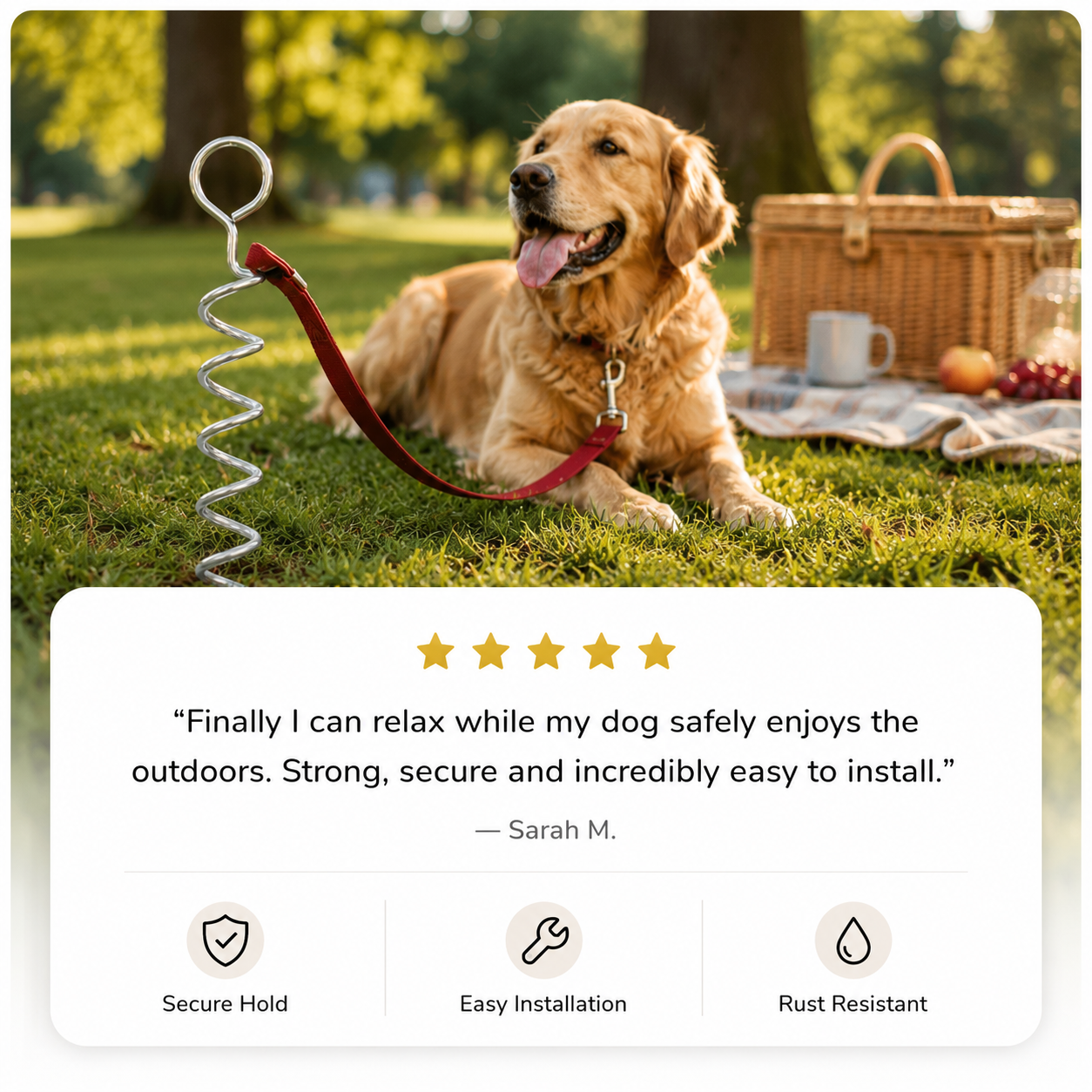 Spiral Dog Tie-Out Stake