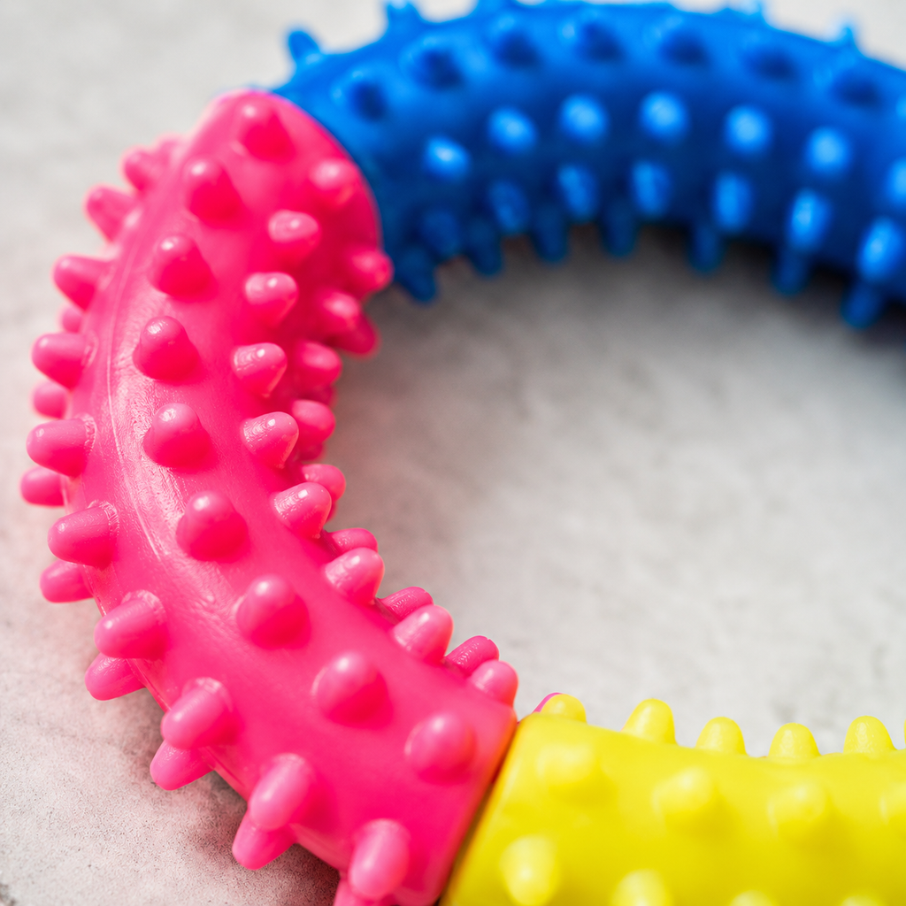 DentalLoop