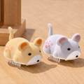 Wiggle-Chase Discovery-Set