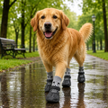 Guard-Step Waterproof Sock-Set