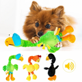 Squeaky Chicken Toy