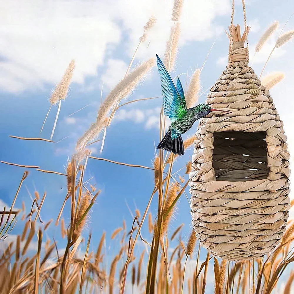 Natural Grass Bird Nest