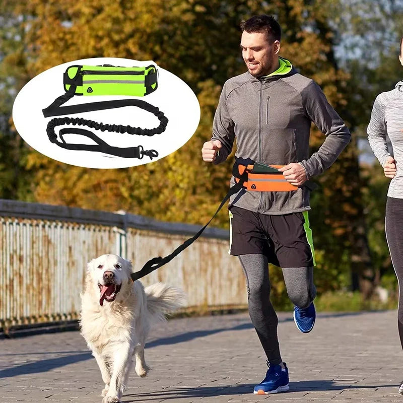 StrideFree Performance System