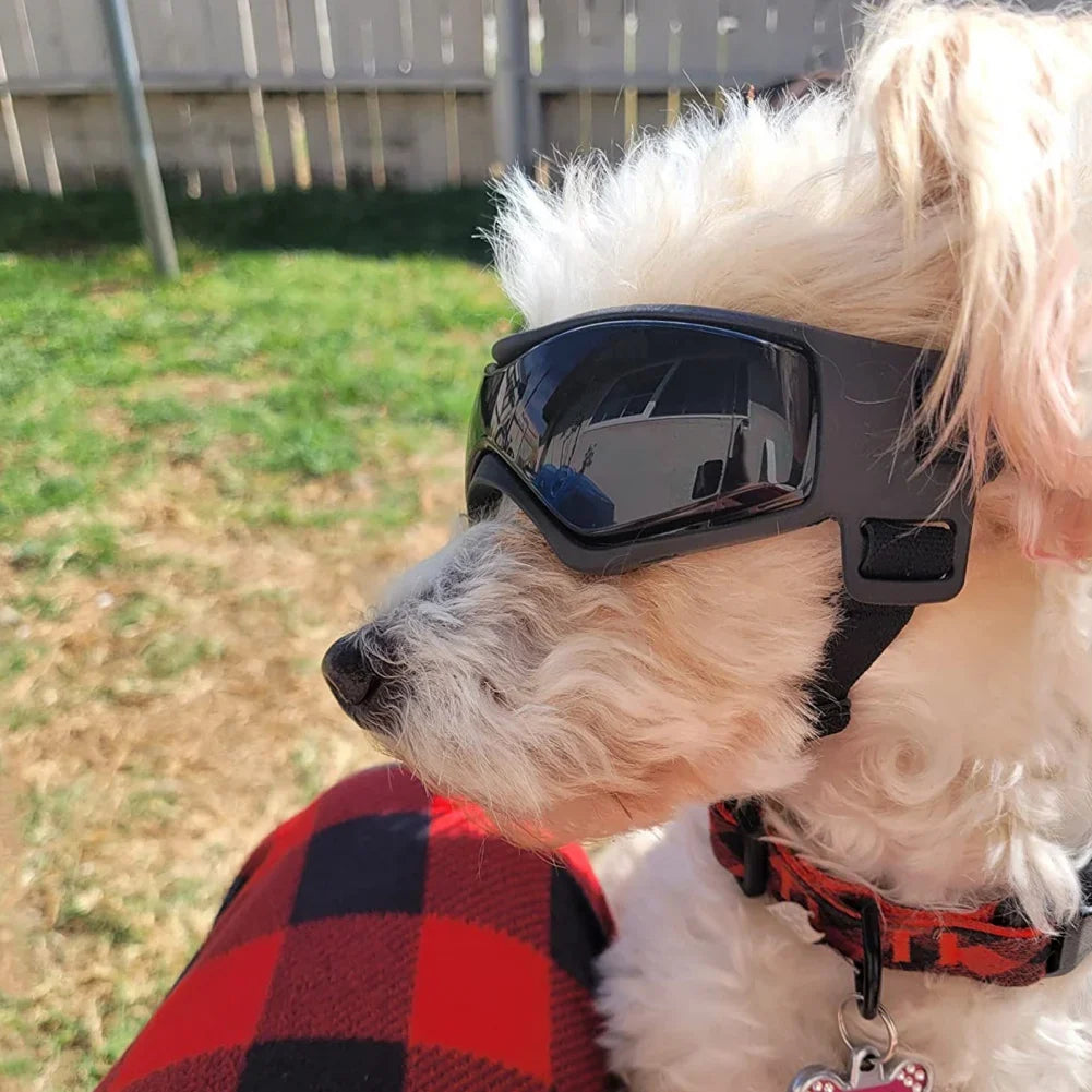 Guardian Pet UV Protection Goggles