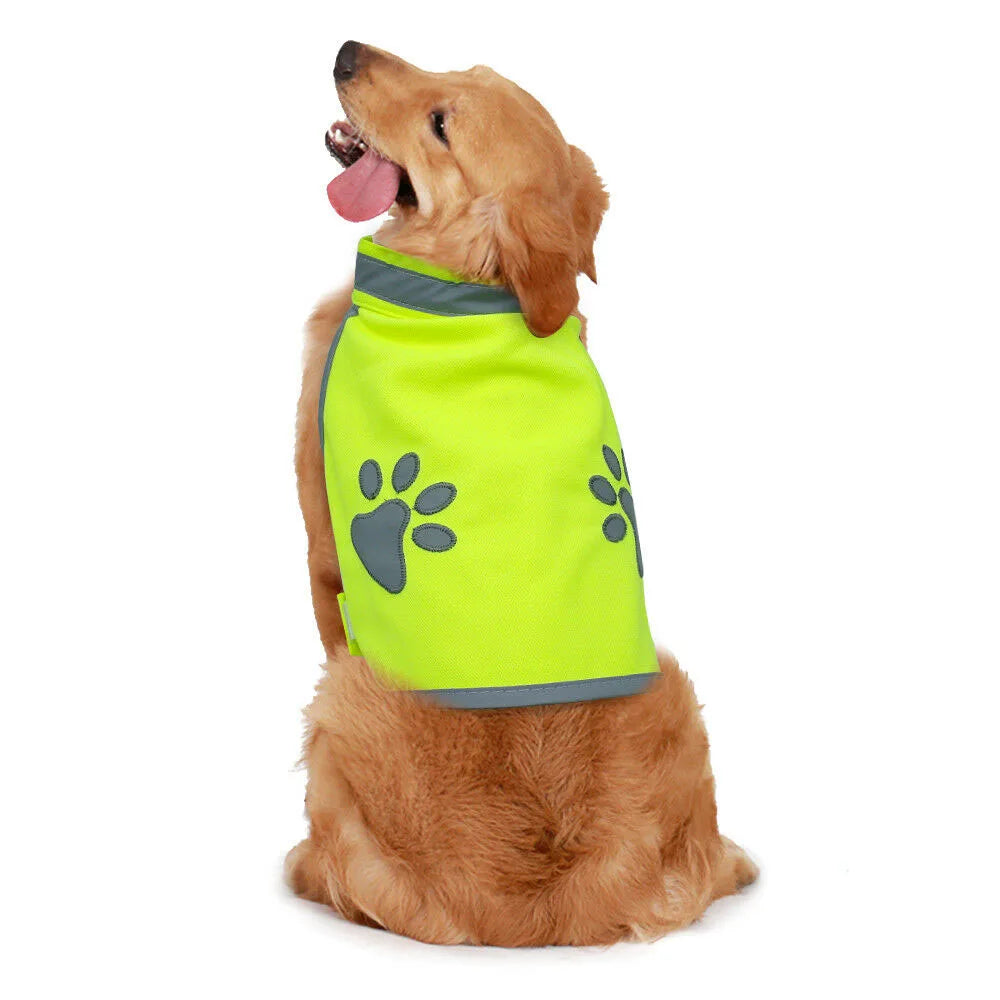 GlowGuard Safety Hi-Vis Vest