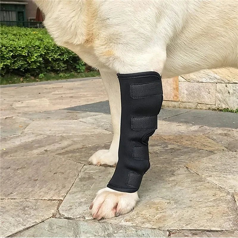 DualLink Joint Protectors