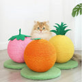PinePlay Cat Scratching Ball & Climbing Frame